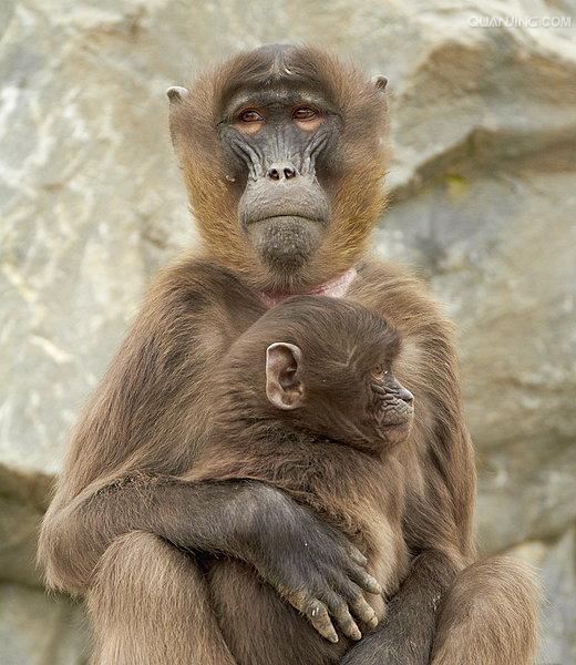 爱游戏官网 -n0808里面的4个分别是谁